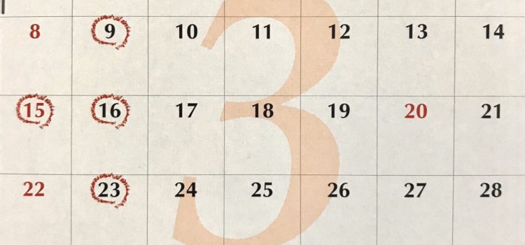 3月1日から3月末日までプレミーク生トリートメント半額キャンペーン！