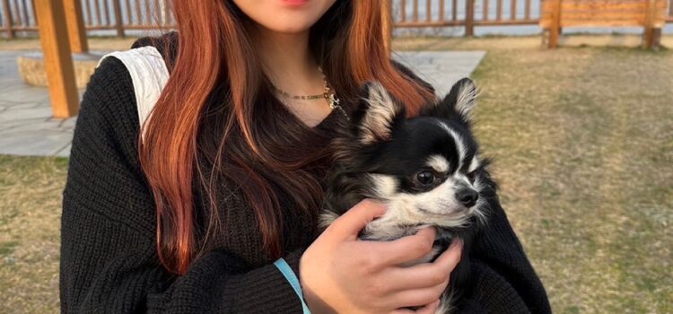 3月28日(火曜日)から新人スタッフが入社します〜 3月28日(火曜日)から新人スタッフが入社します〜